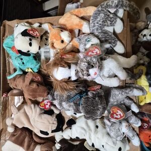 Ty Beanie Babies Plush Collection - Multicolor Animals